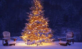 Weihnachtsbaum im dunklen mit Lichtern